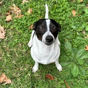 Meet your Posher, “A”